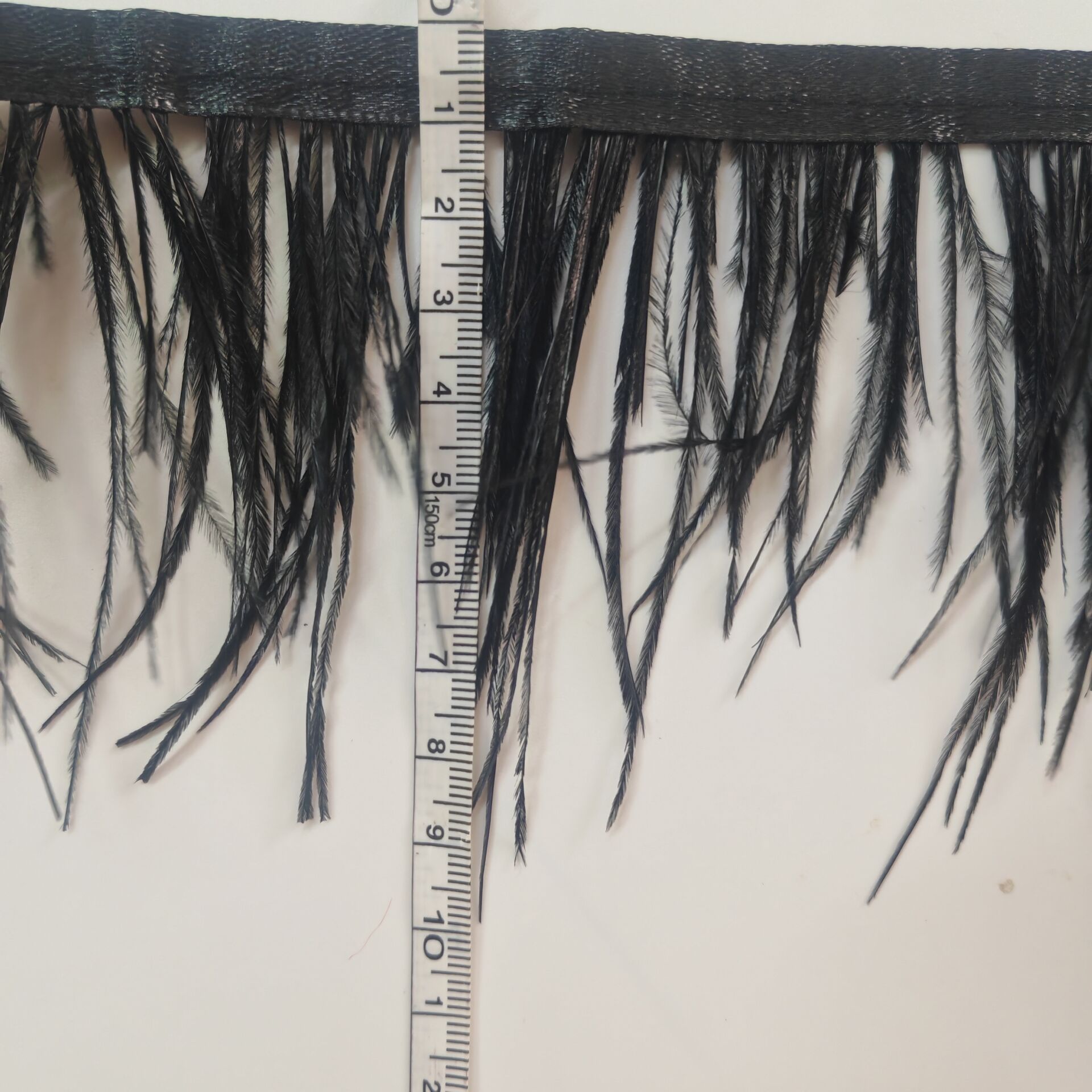 Black Ostrich Feather Fringe T - Fringe Ribbon Sewing ulasan dan harga
